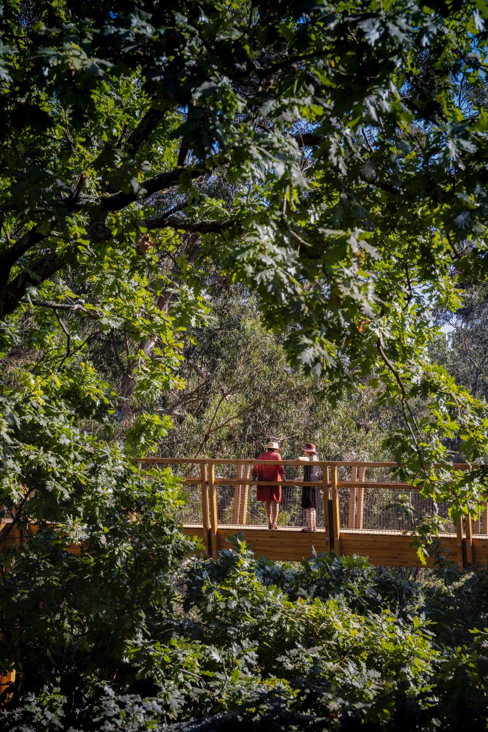 Porto History & Fun Teens Treetop Walk